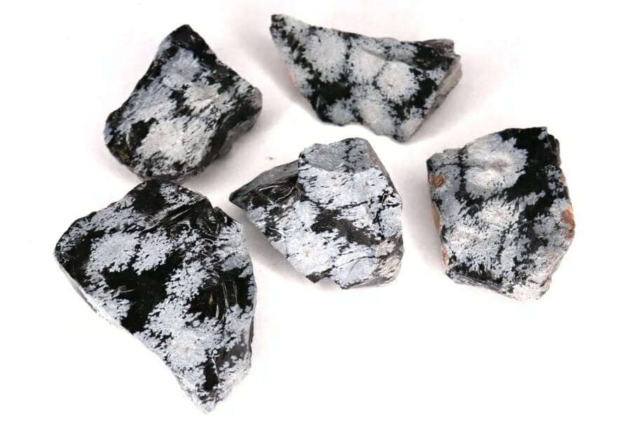 Five specimens of rough Snowflake Obsidians with clear white snowflake-like patterns