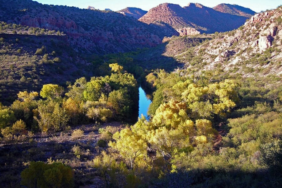 A scenic view of the Sycamore Canyon with a river flowing in between trees