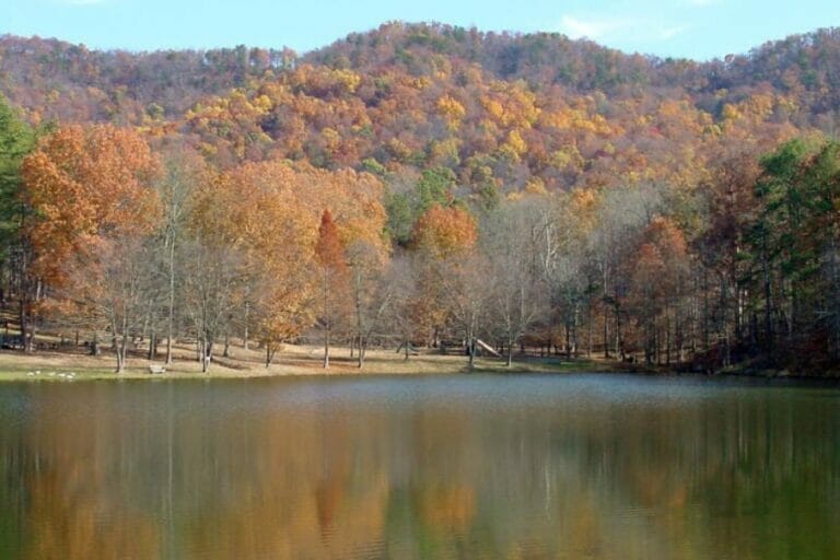 24 Proven Spots To Find Agate in in 2024