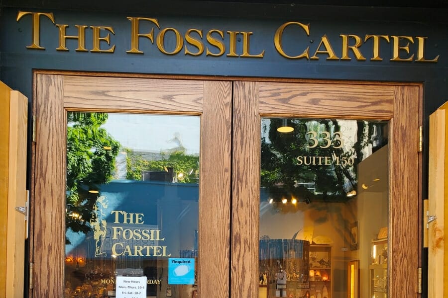 Front store doors to The Fossil Cartel