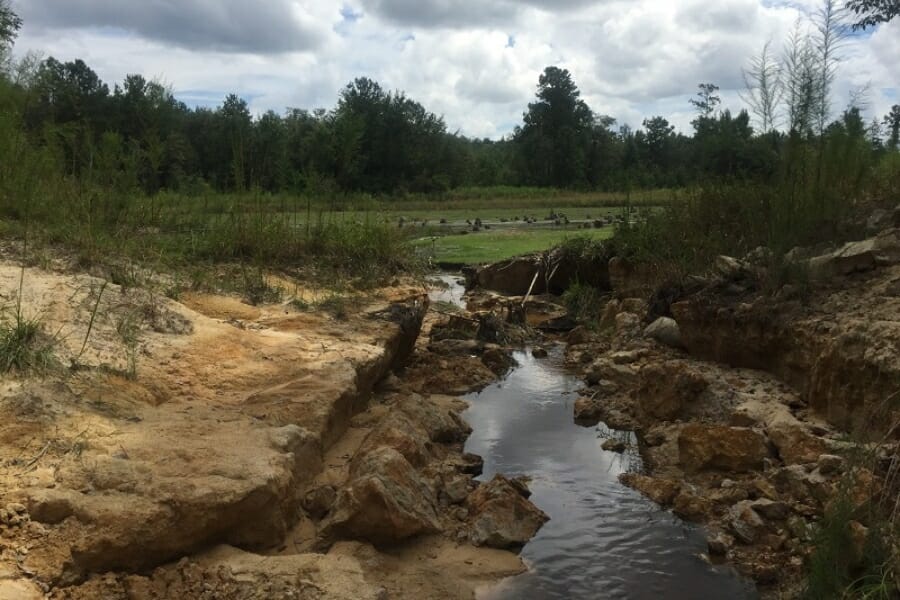 Rocky field along Upatoi Creek where agates are abundant