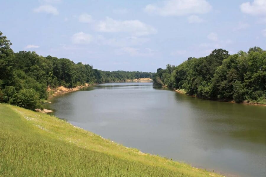 A beautiful scenic view of the Warrior River in between lush forests and grasslands