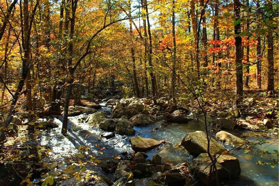 Shallow creek at Woods County