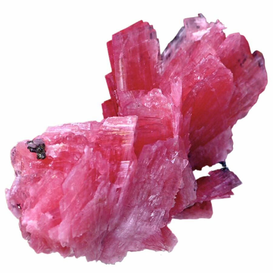 cluster of rough rhodonite crystals
