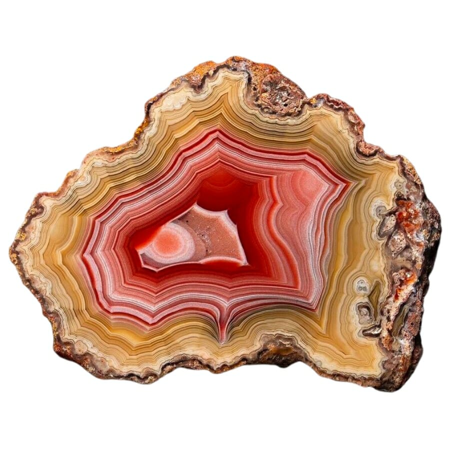 Close-up look at the interesting orange, red, white, yellow, and brown banding pattern of an agate