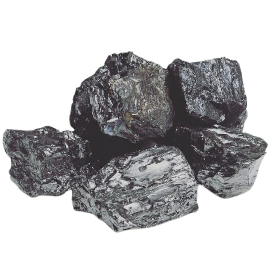Five pieces of shiny grayish black anthracite
