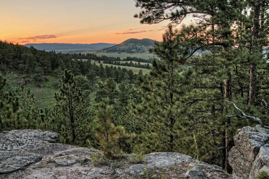 view overlooking the Black Hills Petrified Forest with trees and rocks in the foreground