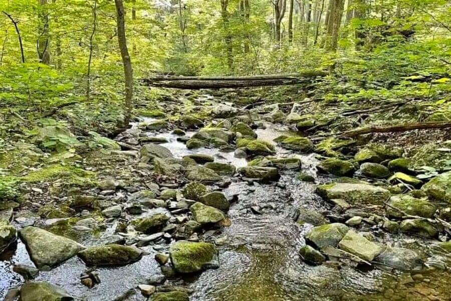 Rocky, shallow waters at the Buck Mountain Creek