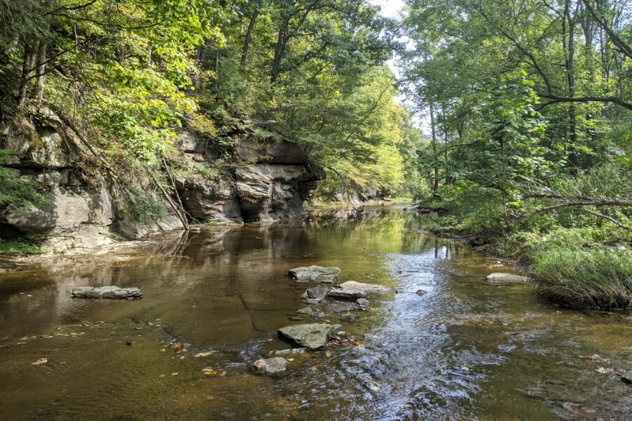 A quietly flowing creek surrounded by trees