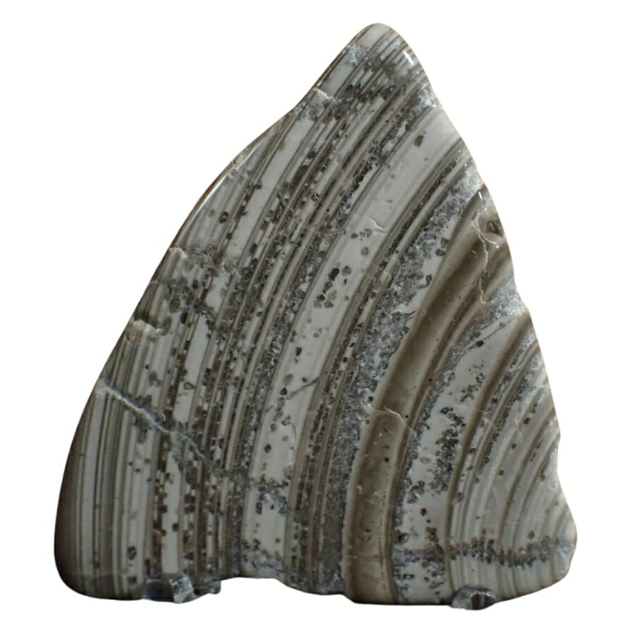 A gorgeous banded chert with brown and white stripes