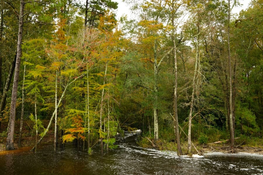 A beautiful creek in Cumberland County