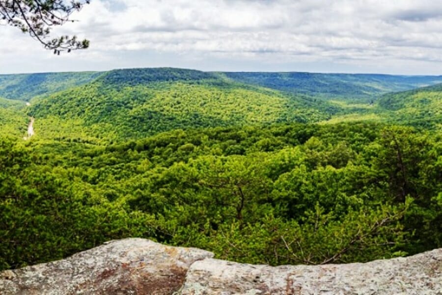 A view of the lush and vast forests of the Cumberland Plateau from a high point