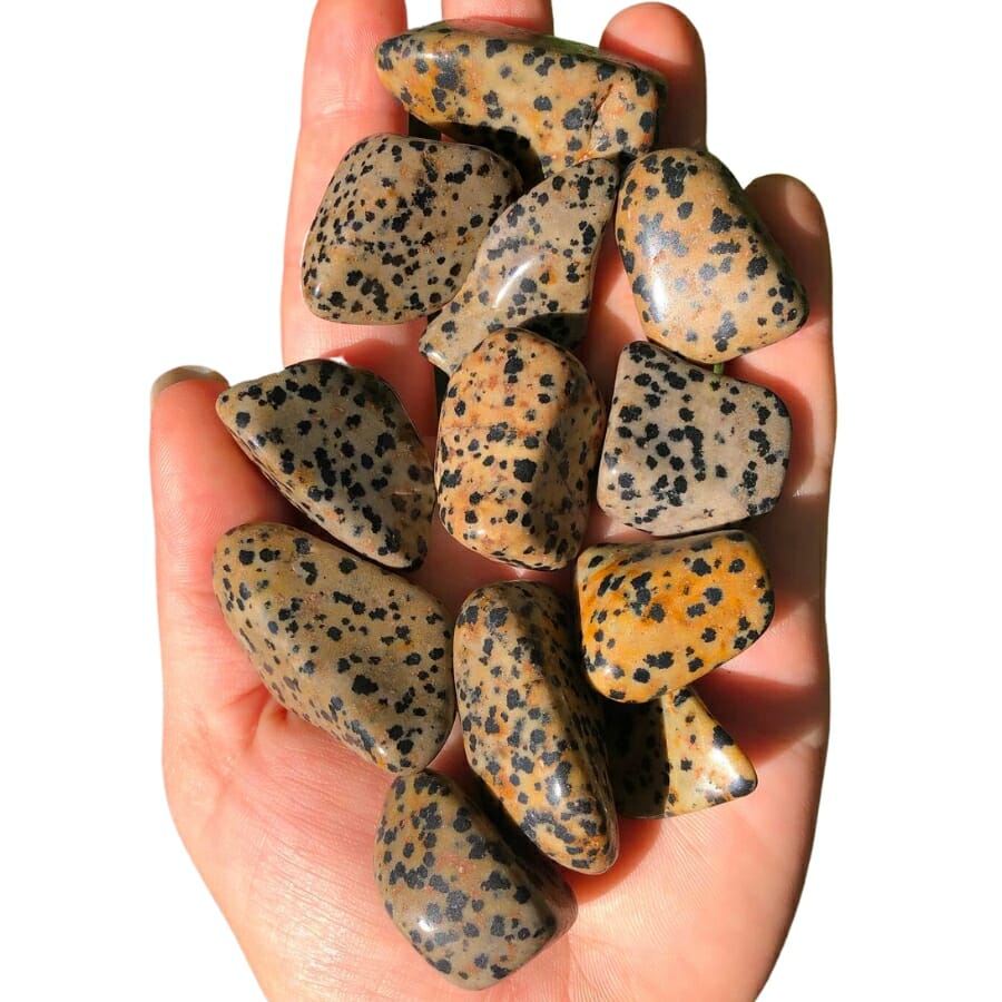 Polished Dalmatian stones photo provided by Gem Bound Books