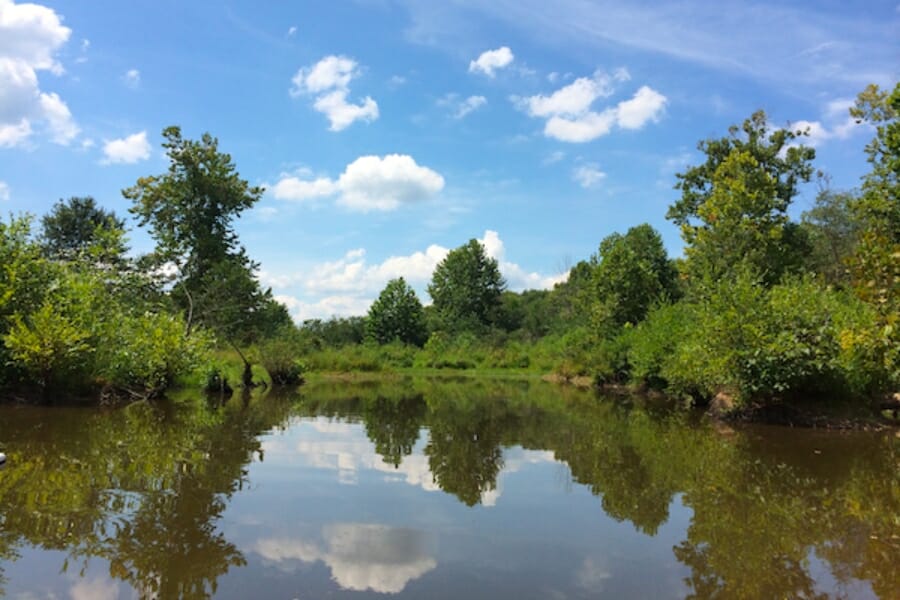 Wide view of creek in Eddyville