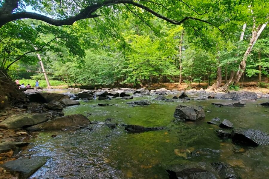 Close look at the shallow waters and surroundings of the Eno River