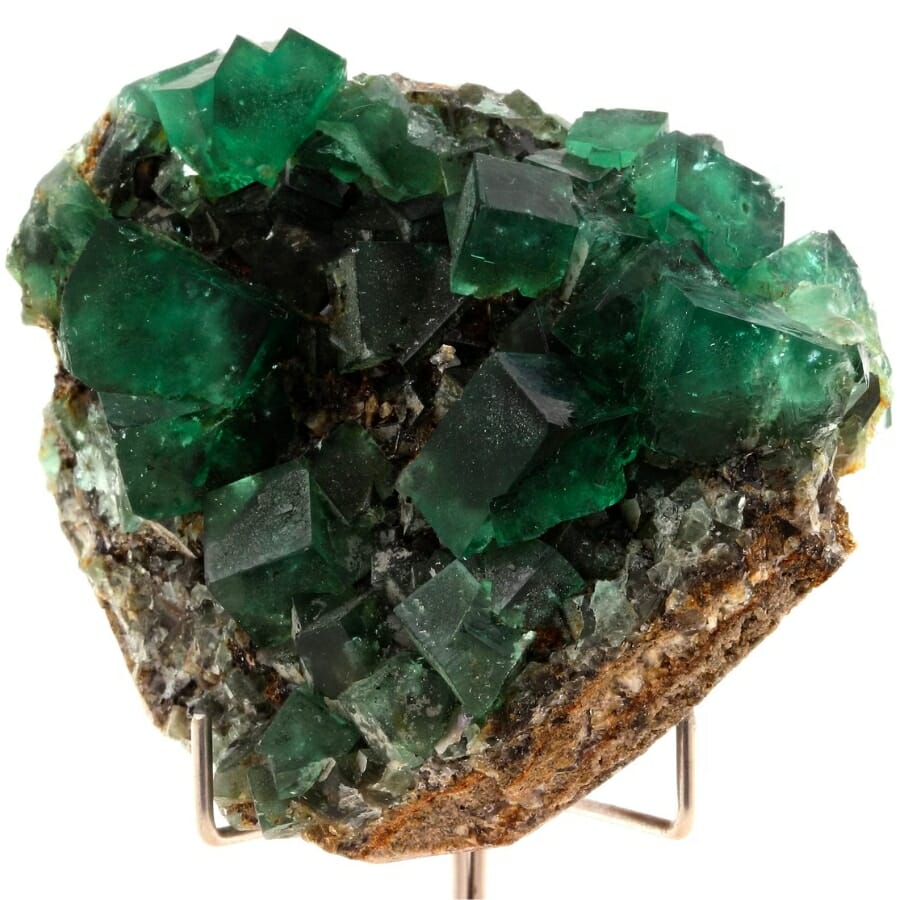 Dark green fluorite on a gold stand