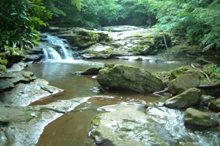 Shallow and rocky Grassy Creek and its surrounding trees