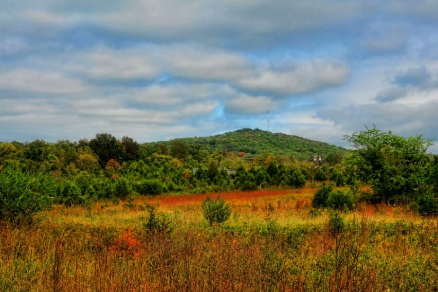 Vibrant grasslands and trees surrounding Horse Mountain
