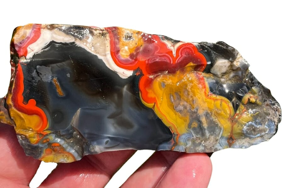 Colorful piece of Kentucky agate with swirls of red, black, white, yellow, and brown