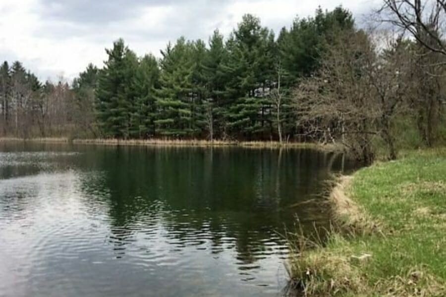 A serene and quiet Long Run where you can locate petrified wood specimens