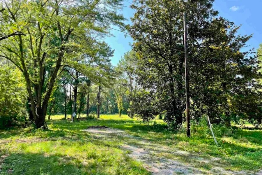 An open field with trees in Mayfield