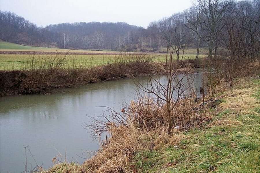 A tranquil creek flowing through grasslands