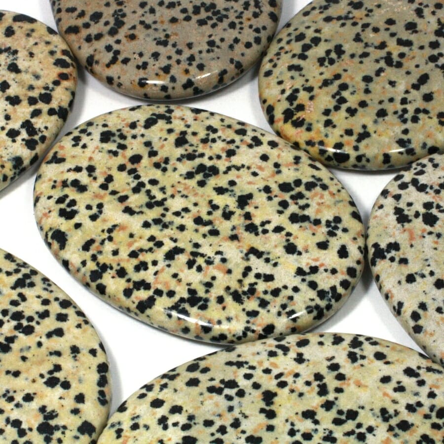 Dalmatian stones polished and cut into palm stones