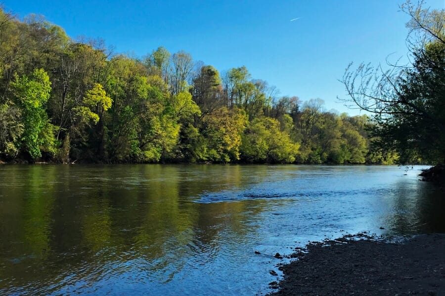 Amazing view of the Pee Dee River from the side