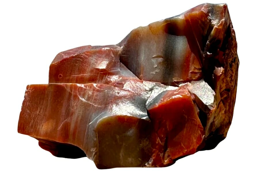 A beautiful piece of raw rainbow petrified wood