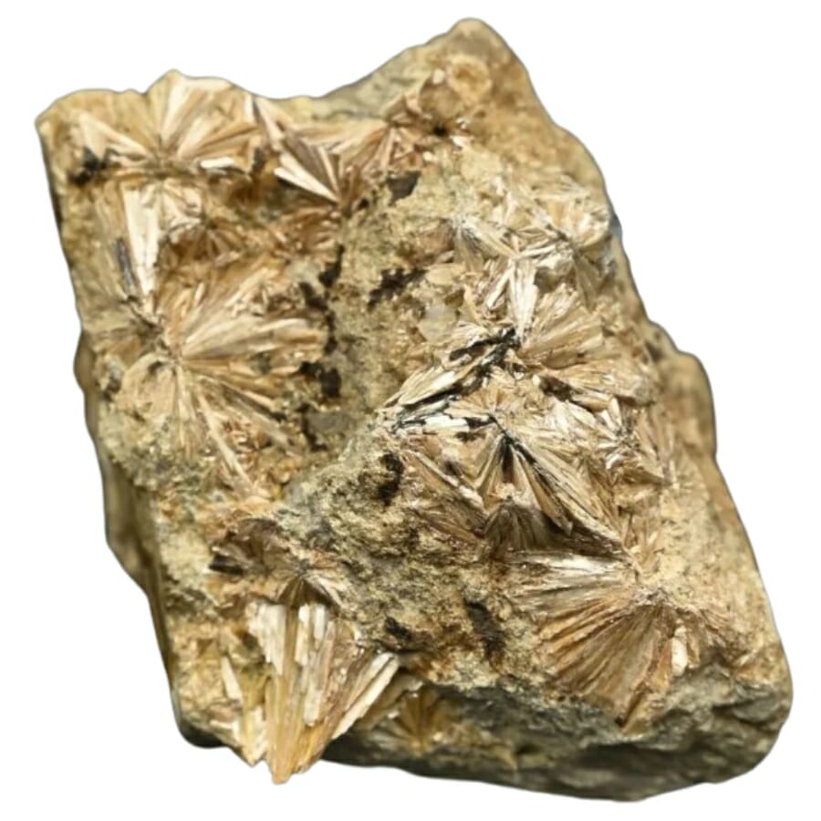 A rare pyrophyllite mineral with intricate details