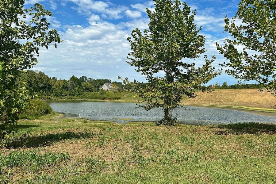 A nice and peaceful area at Richardson's Landing with trees and body of water