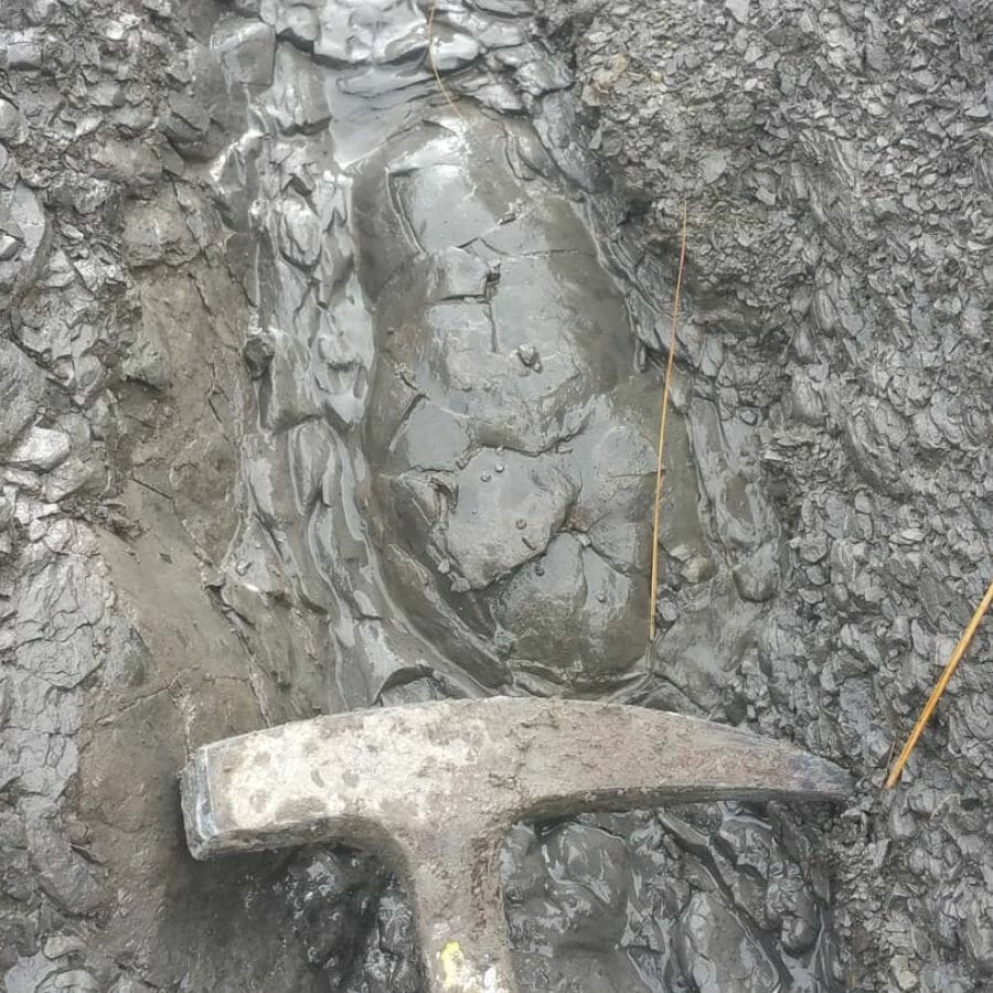 Septarian nodule still in the ground next to a geology hammer