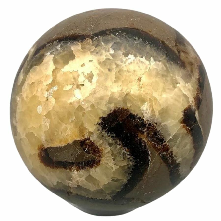 Septarian nodule polished into a sphere with black and white inclusions