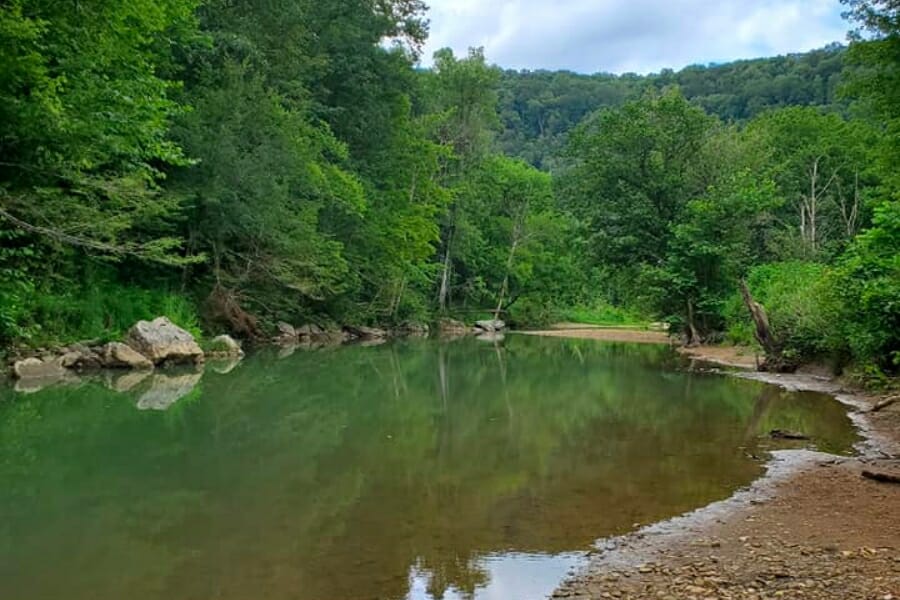 Serene view of the Station Camp Creek's shallow waters and surrounding greeneries