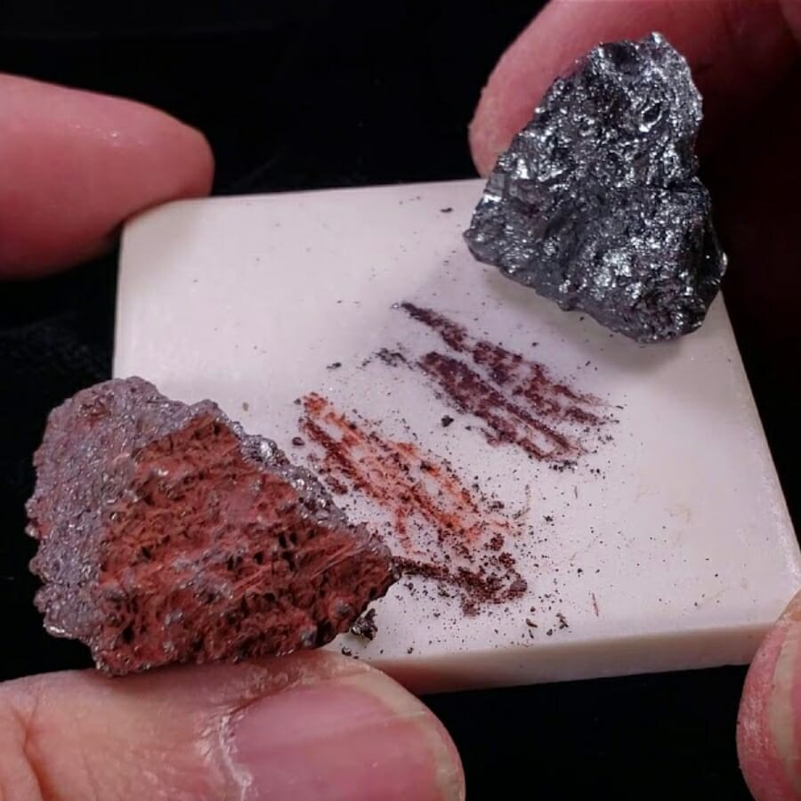 Two specimens showing different colors of streaks on a streak plate