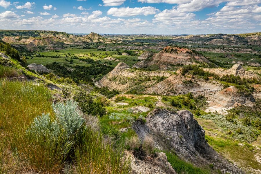 view of the Theodore Roosevelt National Park from the South Unit
