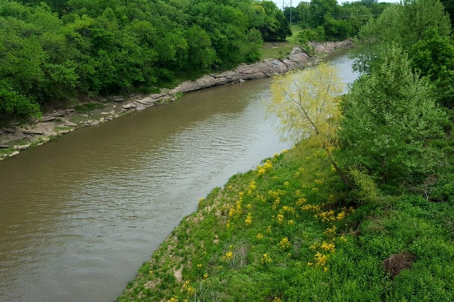The Verdigris River with green trees on both sides and flowers blooming 
