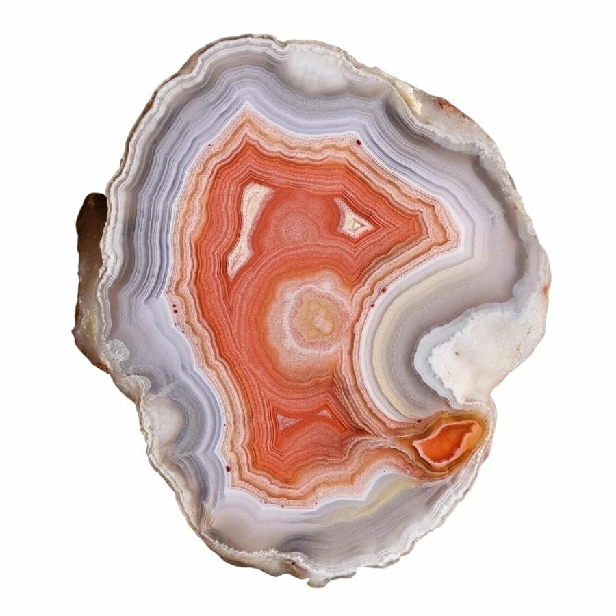 agate cross-section showing red, white, gray, and purplish layers
