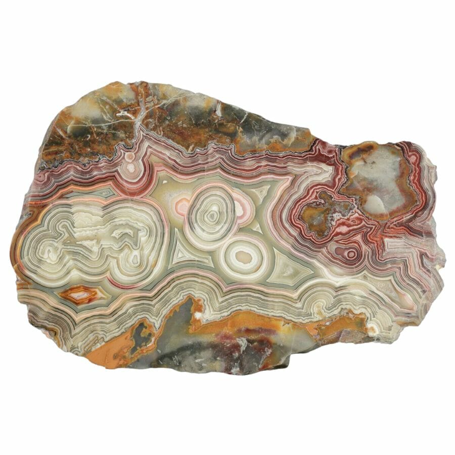 slab of lace agate from Arizona with white, gray, red, and black layers