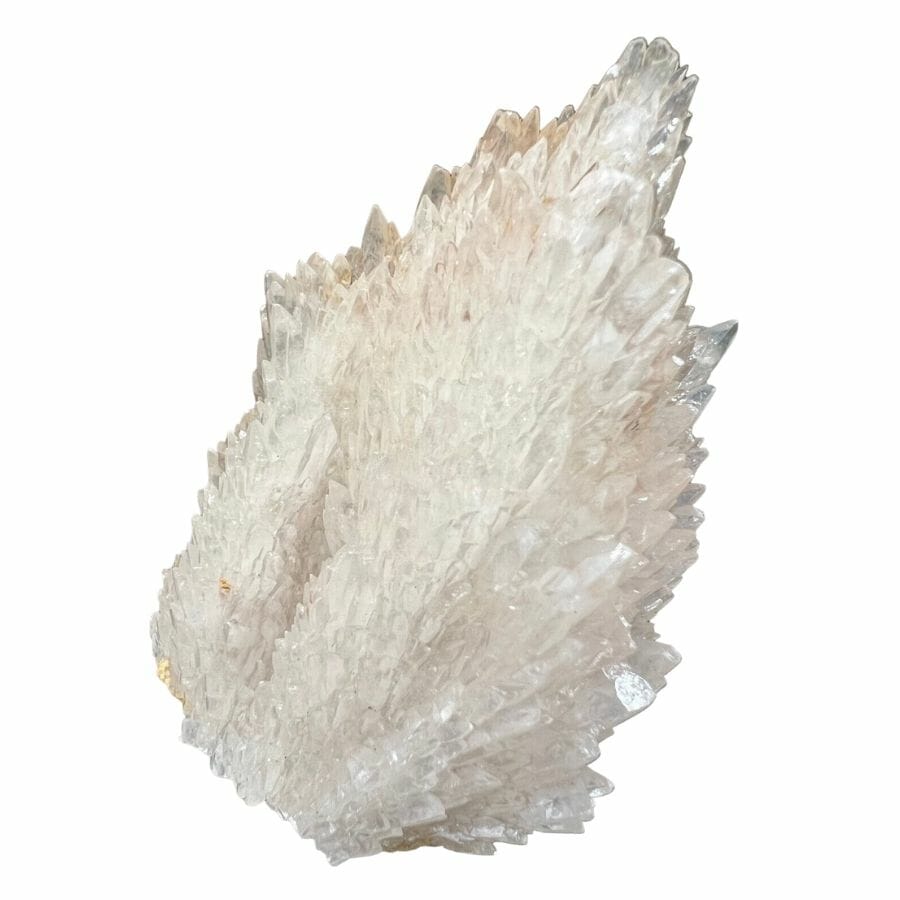 translucent white calcite crystal cluster that looks like a wing
