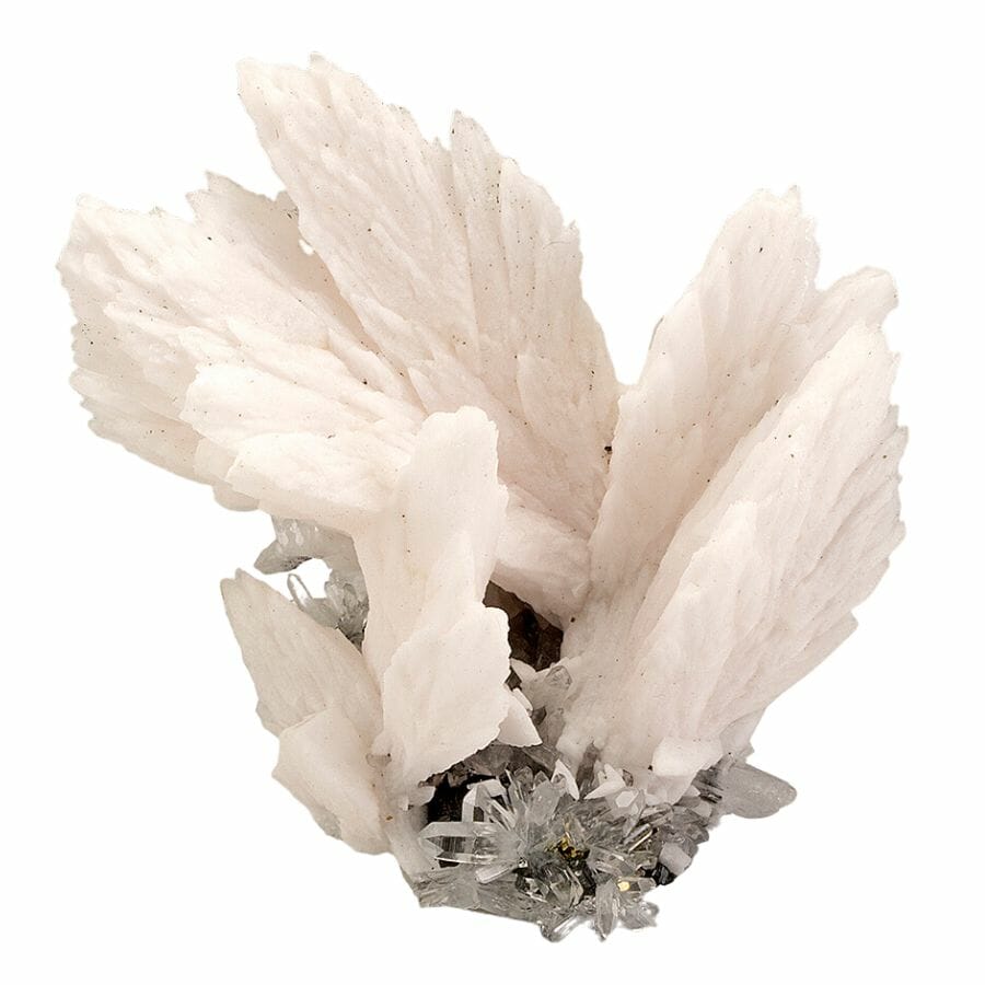 wing-like white calcite crystals