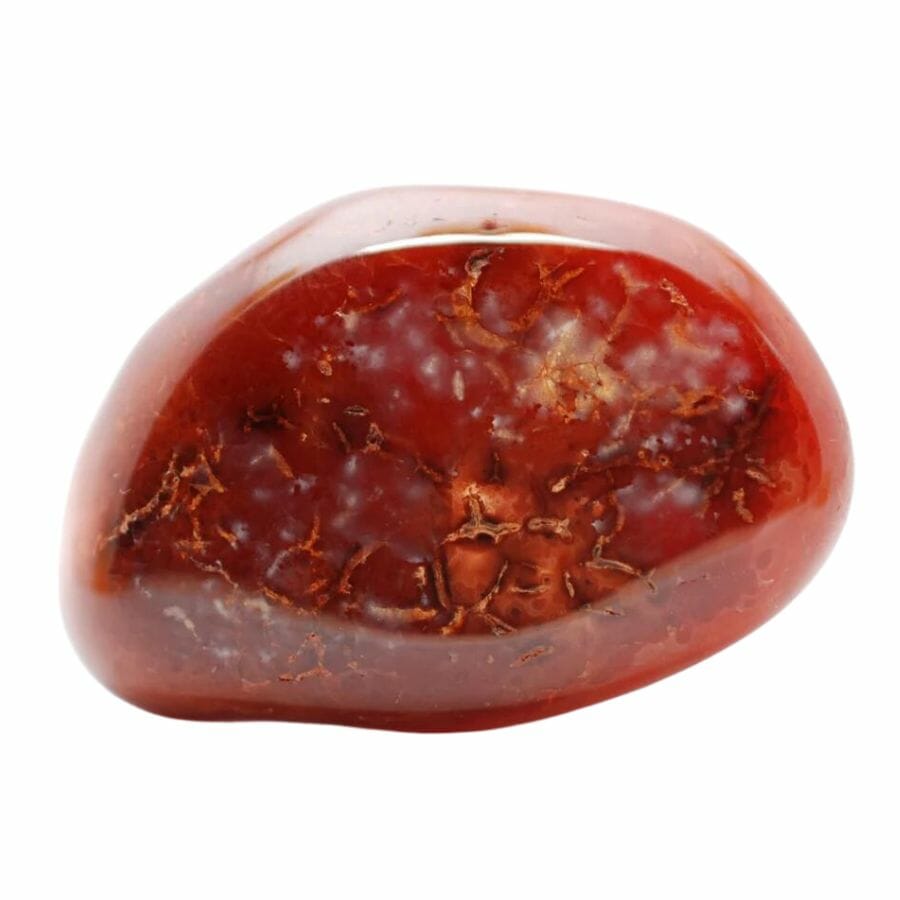 polished bright red carnelian stone
