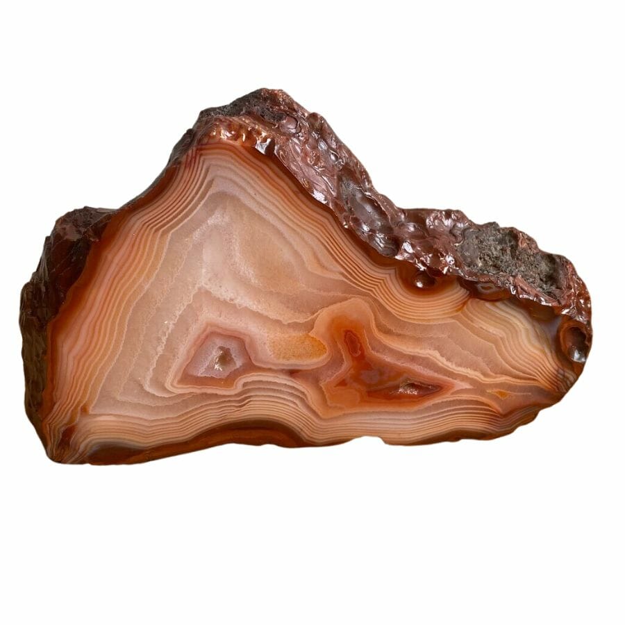 rough piece of carnelian showing a dark red outer crust and pale pink layers underneath