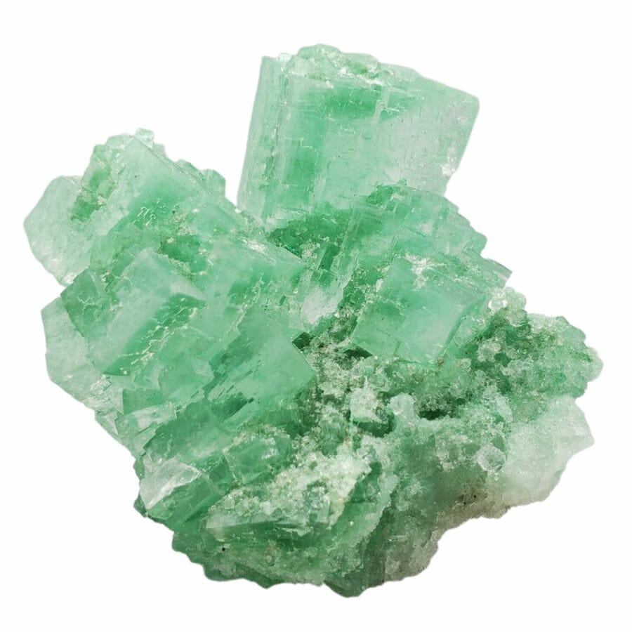 cluster of green cubic halite crystals