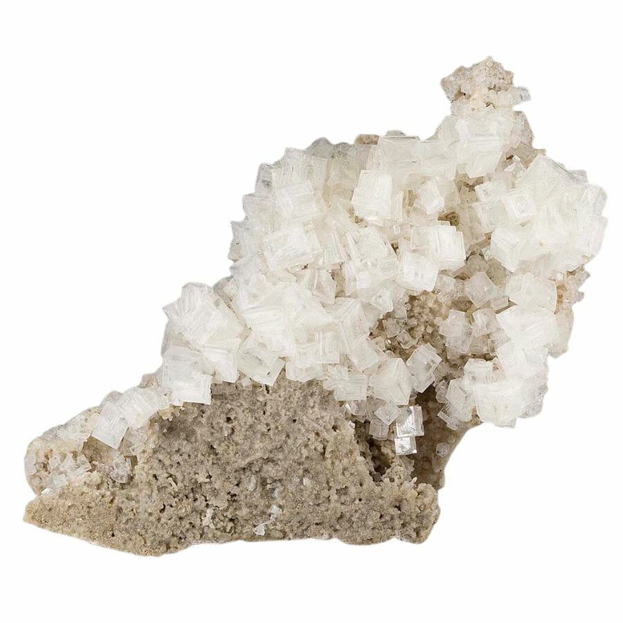 white cubic halite crystals on a matrix