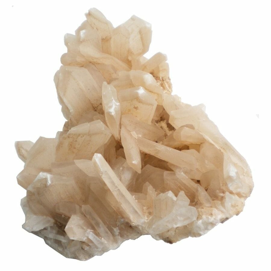cluster of elongated selenite crystals