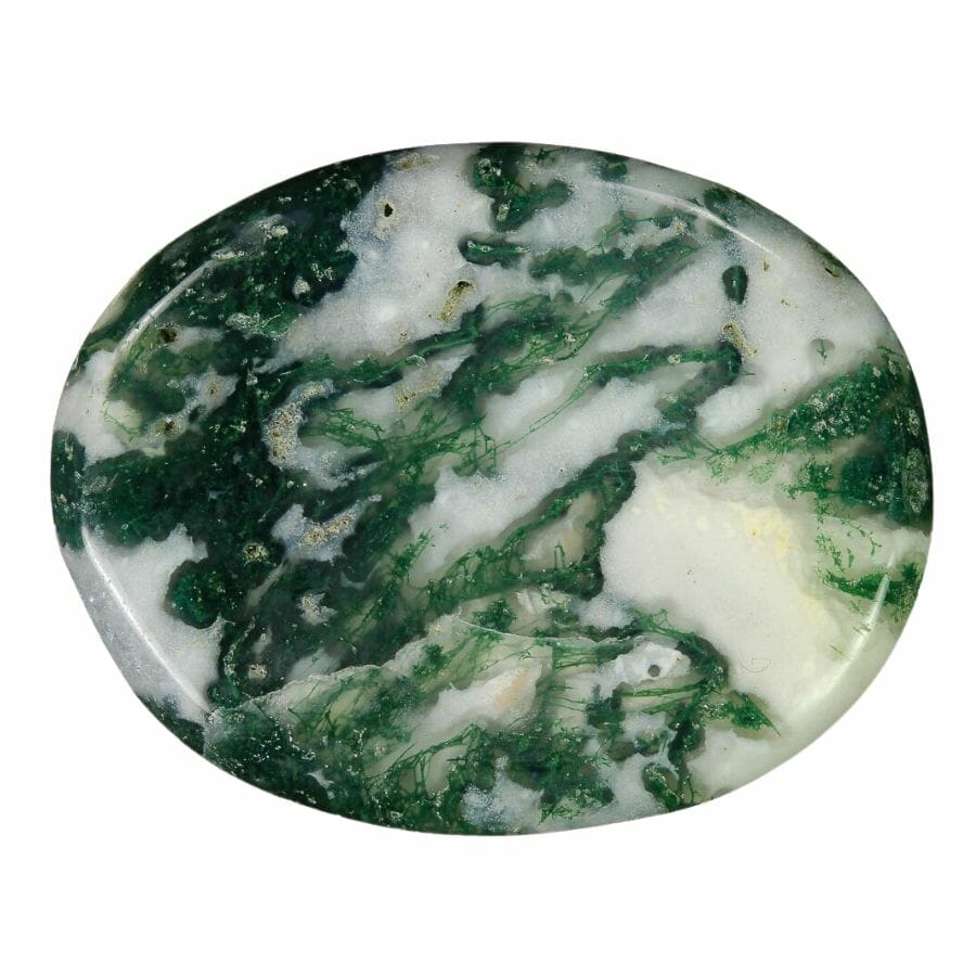oval-shaped polished tree agate worry stone with white base and green dendritic patterns