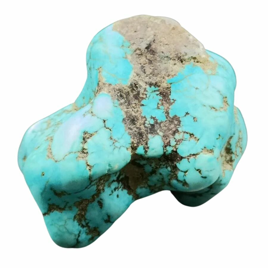 polished blue-green turquoise with black veins