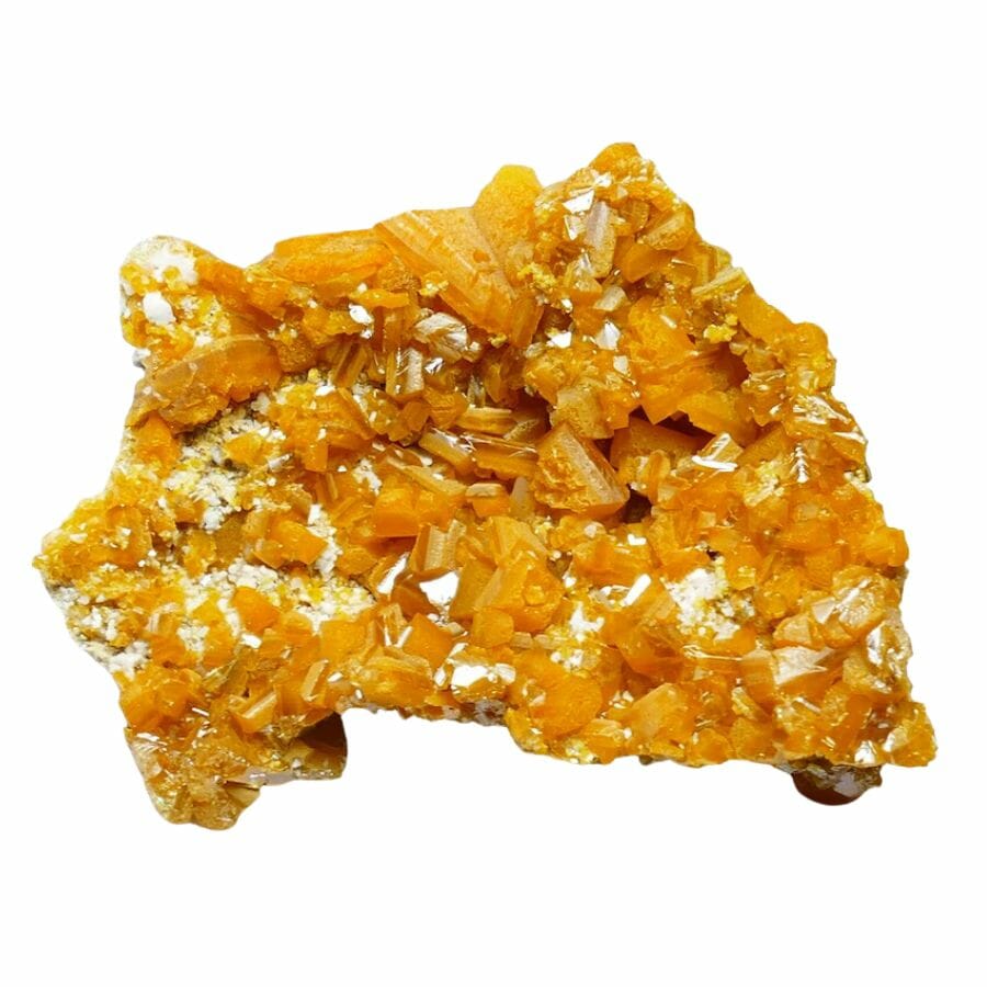 cluster of yellow wulfenite crystals on a rock