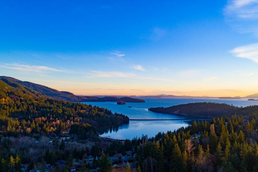 sea and forested areas in Bellingham Bay